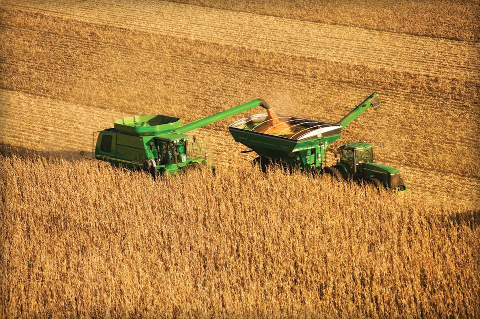 Raccolta di Mais DuPont Pioneer.