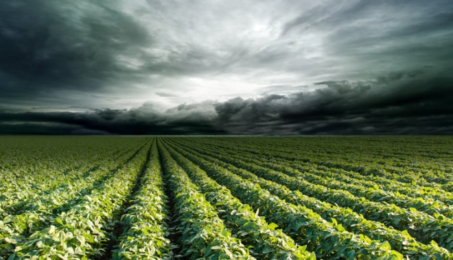 Perché La Monsanto Vuole Lavorare Con I Big Data In Agricoltura?