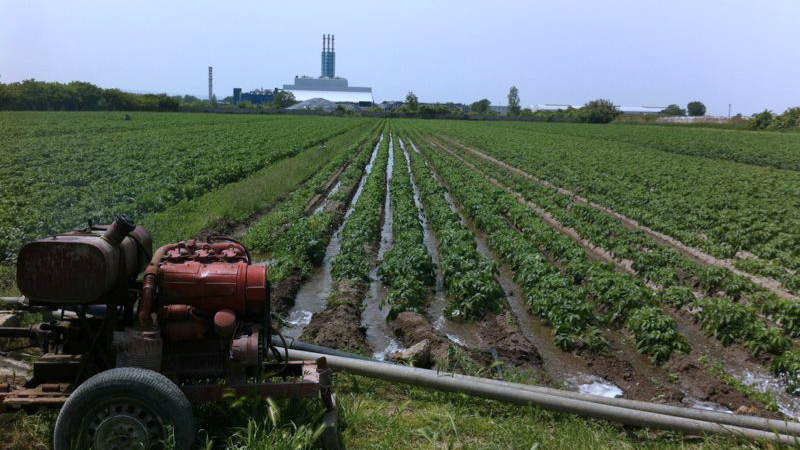 Campagna_rurale_accerra
