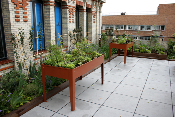 Urban Garden