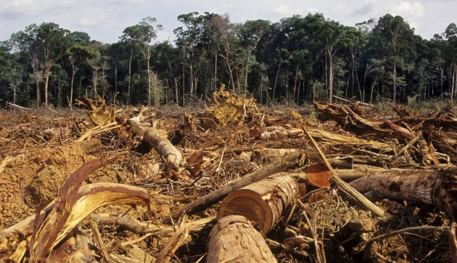 Deforestazione Dell'Amazzonia. Credits Class Meteo