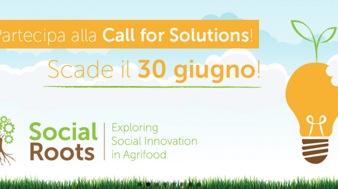 Social Roots Call For Solutions