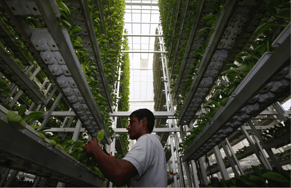 Farming in the sky - The Atlantic, may 2015
