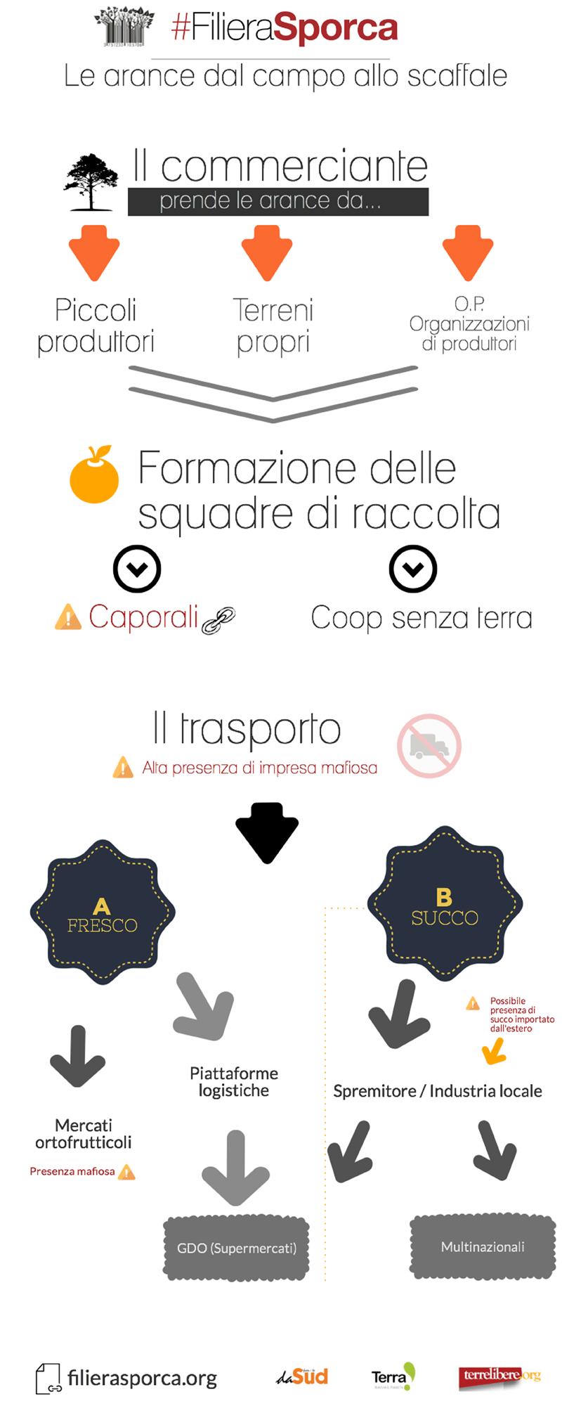 FilieraSporca